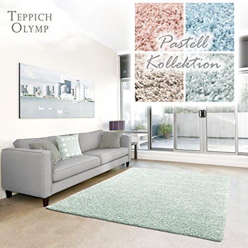 Shaggy-Teppich Pastell | Flauschige Hochflor Teppiche fürs Wohnzimmer, Esszimmer, Schlafzimmer oder Kinderzimmer | Einfarbig, Schadstoffgeprüft (Mint - 40 x 60 cm)